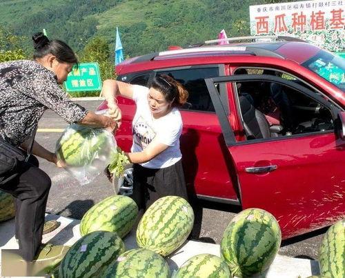 吃瓜群众办事处,网络舆论场中的“民间侦探”