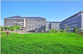 洛阳师范学院网红课件,揭秘教育新风尚