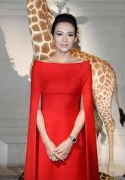 中国大婉明星,揭秘中国大婉明星的璀璨人生