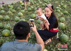 博乐吃瓜群众
