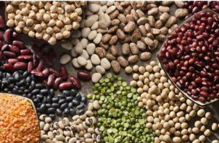 网红小黄豆资料介绍