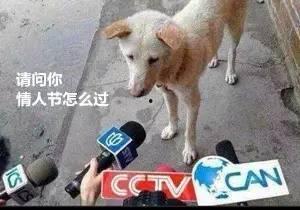 电影院吃瓜群众是什么,揭秘观影现场的趣味众生相