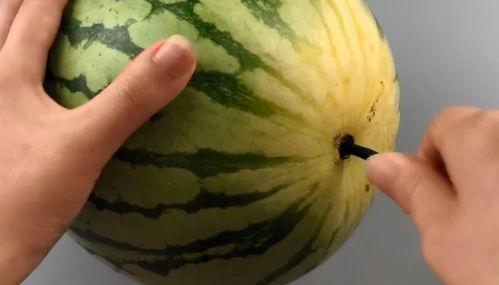 带你吃瓜筷子图片大全,图片大全赏析