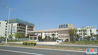 天台平桥明星企业,明星企业闪耀，引领区域经济发展新篇章