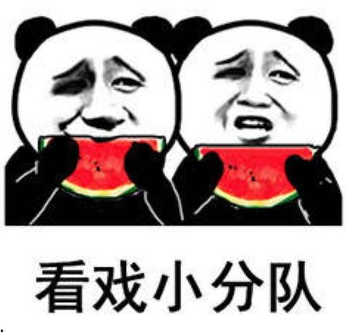 吃瓜安排,一场别开生面的吃瓜盛宴